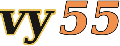 vy55 logo